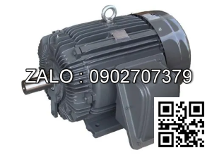 Motor điện SD-20806