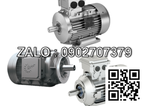 Motor băng chuyền kẽm SK71L/4TW