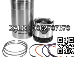 Bộ hơi động cơ FIAT GROUP F3AE3681-E4 , 6 CYL , CM3