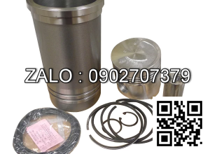 Bộ hơi động cơ FIAT GROUP F4BE0641A*G105 , CYL , CM3