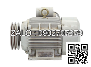 Motor khí dao mài P1V-SO30A0460