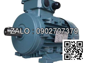Motor liền hộp số YVF2-250M-4M, GR147-<Y55-4P>-5.98-M1-270-IEC