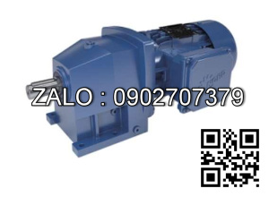 Motor Rollway SK80LP/4TF 0,75KW 1415rpm 3,1A