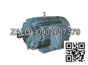 Motor điện 4 dây 37kW - 50HP