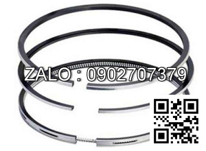 Bạc xéc măng động cơ Westerbeke 120-N6 , 6 CYL , CM3