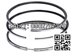 Bạc xéc măng động cơ Westerbeke 5411 , 2 CYL , CM3