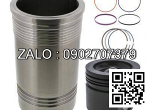 Bộ hơi động cơ FIAT GROUP 8215.42*997 , 6 CYL , CM3