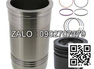 Bộ hơi động cơ FIAT GROUP 8220.02*900 , 6 CYL , CM3