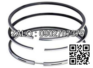 Bạc xéc măng động cơ Westerbeke 11.5 BTD , 3 CYL , CM3