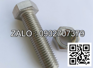 Bulong inox 304 M5x70