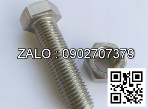 Bulong inox 304 M8x100