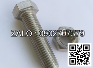 Bulong inox 304 M16x6