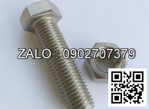 Bulong inox 304 M16x45