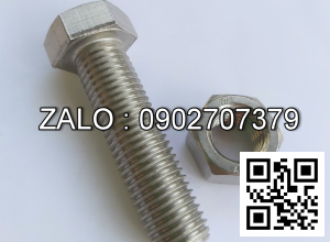 Bulong inox 304 M56x20