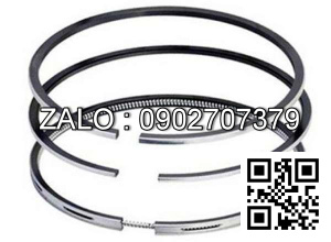 Bạc xéc măng động cơ VM MOTORI VMT 1056 SUT , 6 CYL , CM3