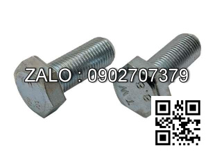 Bulong mạ niken M5x16