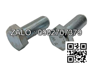 Bulong mạ niken M6x5