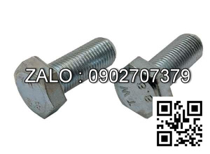 Bulong mạ niken M12x5