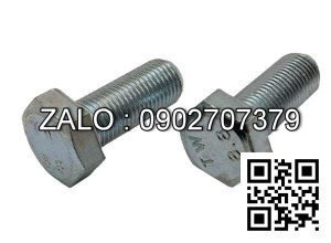 Bulong mạ niken M20x20