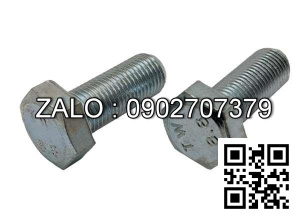 Bulong mạ niken M20x60