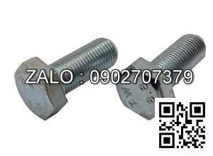 Bulong mạ niken M22x6