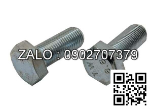 Bulong mạ niken M22x10