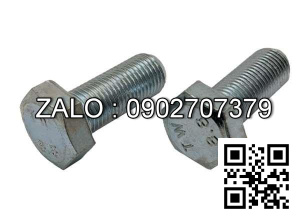 Bulong mạ niken M24x7