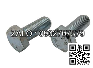Bulong mạ niken M64x14