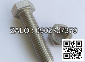 Bulong Inox M20x 180 mm