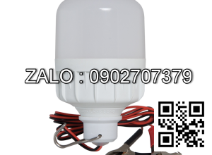 Bóng Đèn LED Bulb 12W 12VDC