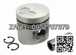 piston động cơ DEUTZ 6M628 , 6 CYL , CM3