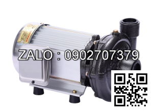 Máy bơm nước giếng sâu Tân Hoàn Cầu Super Win SP-1100