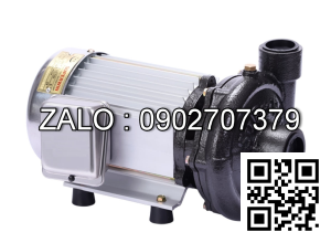 Máy bơm nước giếng sâu Tân Hoàn Cầu Super Win SP-2200