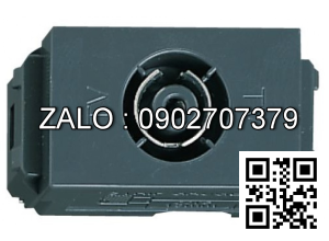 Ổ cắm Panasonic WEV2501H