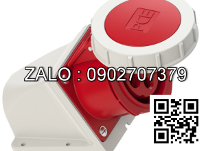 Phích cắm cho Container F1242-3V