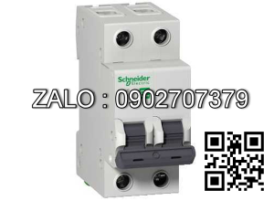 Cầu dao tự động ic60n A9F74210 2P 10A