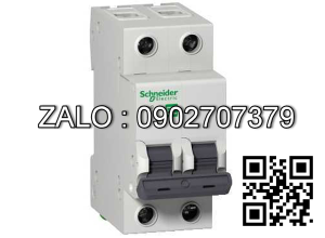 Cầu dao tự động ic60n A9F74216 2P 16A