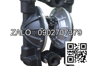 Bơm Màng Khí Nén TDS DS20-AAT-TATS-02
