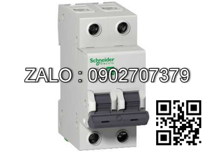 Cầu dao tự động iC60N-C 2P 6A