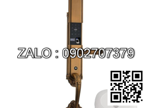 Khóa Cửa Điện Tử VICKINI 39813.002 CF