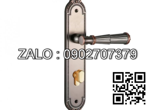 Khóa cửa tay gạt Vickini 35103.101 GYM-AC