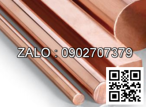 Cây Đồng Đỏ - Cây Đồng