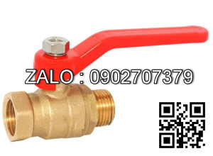 Vòi Rumine Đồng Thau - Vòi Tường Inox 304