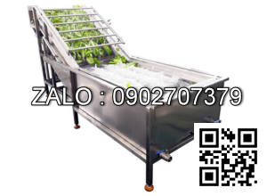 Máy rửa rau quả công nghiệp YQX-800