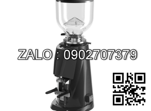 Máy xay cà phê Fiorenzato F4 ECO