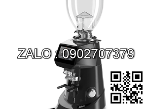 Máy xay cà phê Fiorenzato F64 E