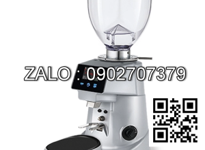 Máy xay cà phê Fiorenzato F64 E XG