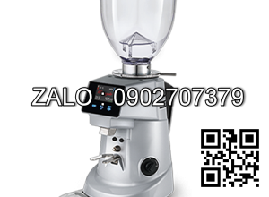 Máy xay cà phê Fiorenzato F83 EV2