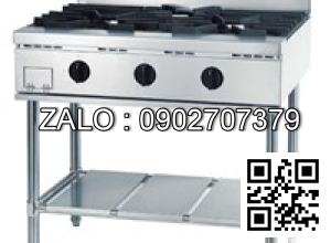 Bếp gas FUJIMARK FGT096021SB