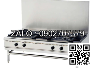 Bếp gas FUJIMARK FGTNS456010